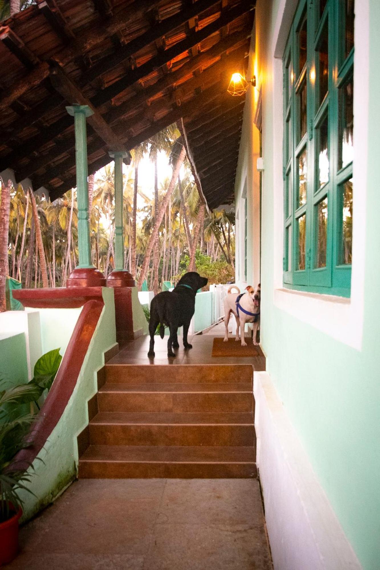 The Bungalow Bogmalo An 1880 Indo Portuguese Heritage Beach Villa South Goa Eksteriør billede